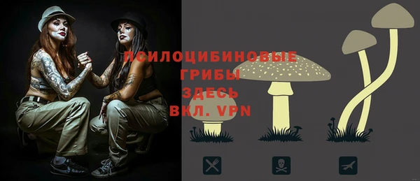 гидропоника Балахна